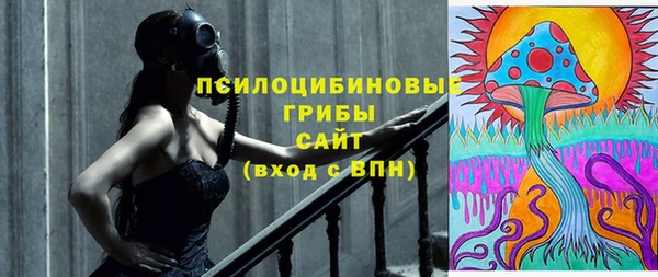 прущие крисы Новозыбков