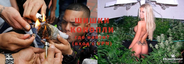 spice Новодвинск