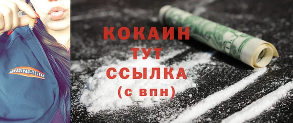 spice Новодвинск