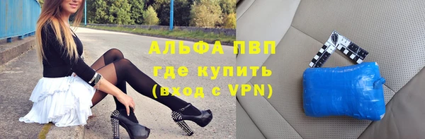 прущие крисы Новозыбков