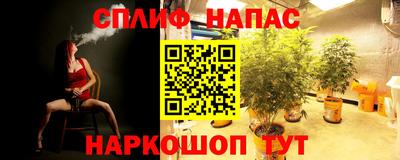тгк Беслан