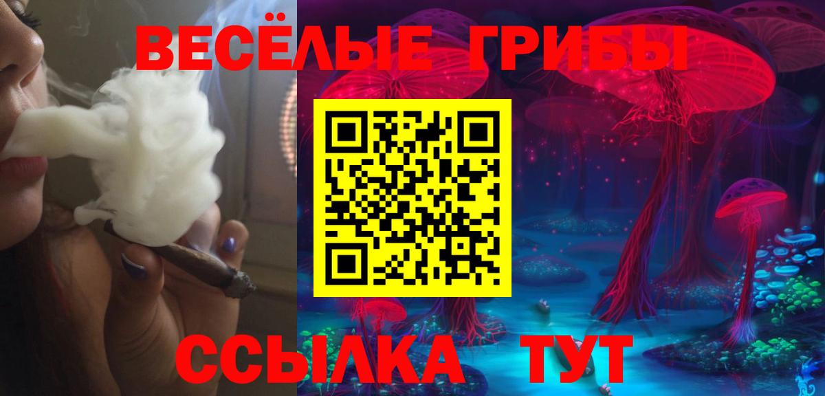 Псилоцибиновые грибы прущие грибы  Вход с VPN  Электрогорск 