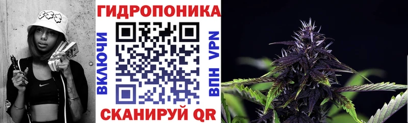hydra tor  Электрогорск  МАРИХУАНА AK-47 